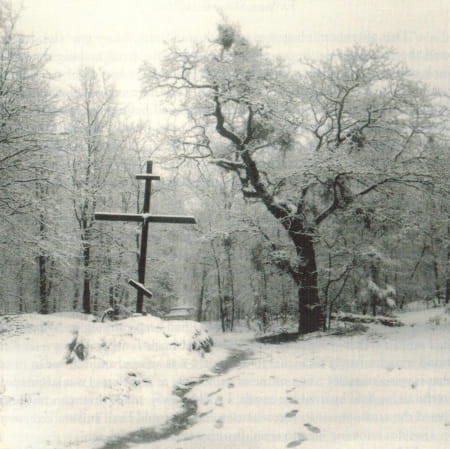 Cross in Winter Landscape